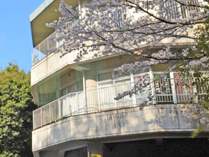 桜の近くの建物外観