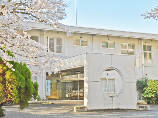 エントランスの桜