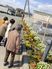 施設前の花壇