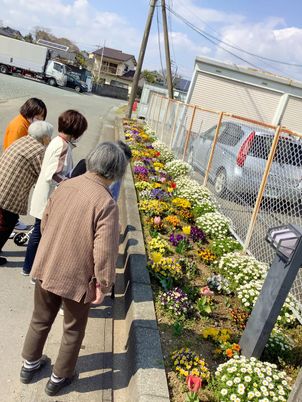 施設前の花壇