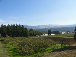 山々と緑の風景