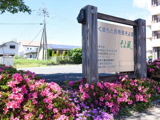 花が咲く看板