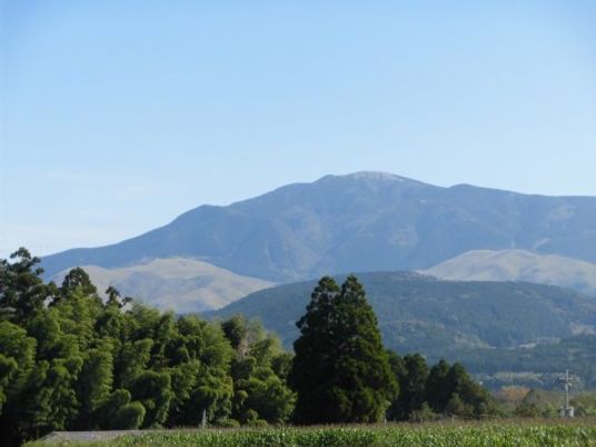 緑豊かな外観風景