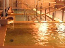 手すり付きの温水プール