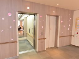 桜の装飾がある廊下