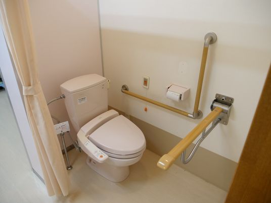 手すり付き清潔なトイレ