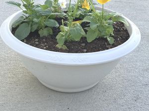 花の鉢植えと床  