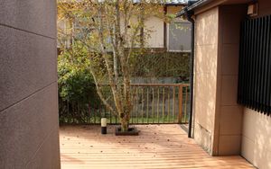 木漏れ日のテラス