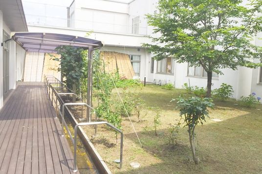 自然が広がる庭
