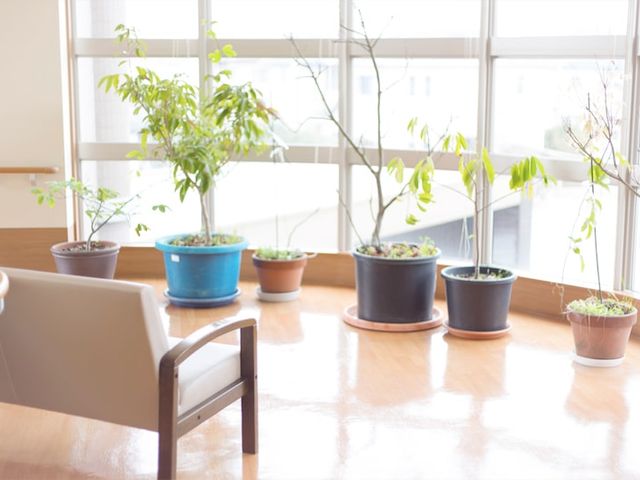 自然光溢れる空間 ラウンジ 自然光が差し込む明るいスペースです。植物に囲まれて、休憩しながらリラックスできます。