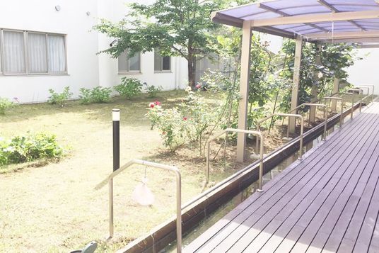 日差しの入る庭