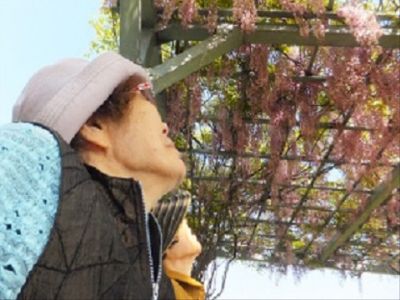 お花見シーンの介護
