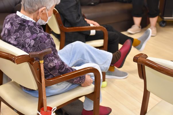 足元で寛ぐ椅子の部屋