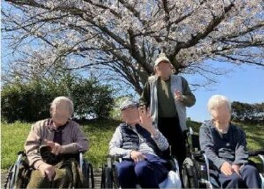 桜の木の下で過ごす人々
