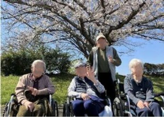 桜の木の下で過ごす人々