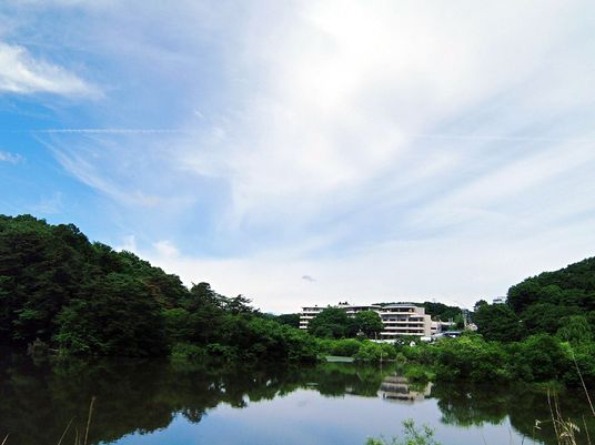 緑に囲まれた建物景観