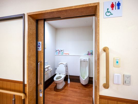 清潔なトイレの様子