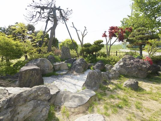 庭園の岩と木々の庭  