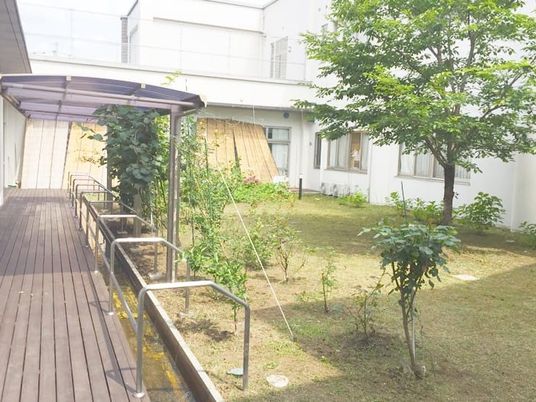 中庭の木と通路  