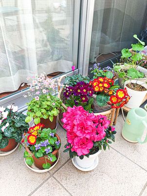 美しく飾られた花々