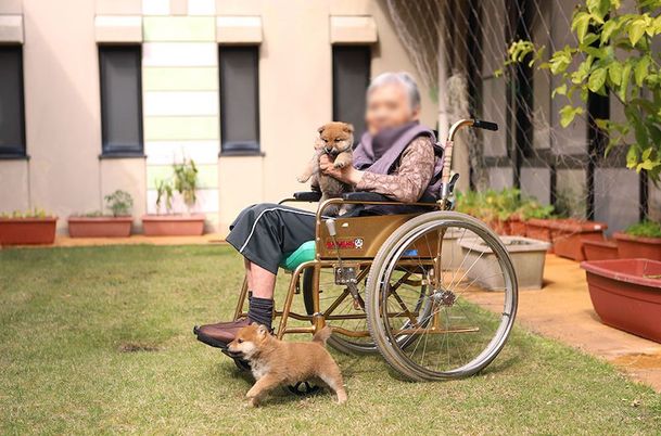 庭で犬と過ごす風景