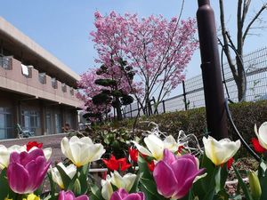 花咲く庭  