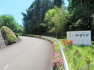 緑に囲まれた施設入口外観  