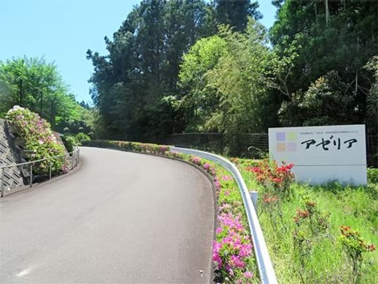 緑に囲まれた施設入口外観  