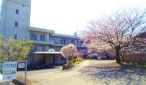 桜が咲くエントランス前