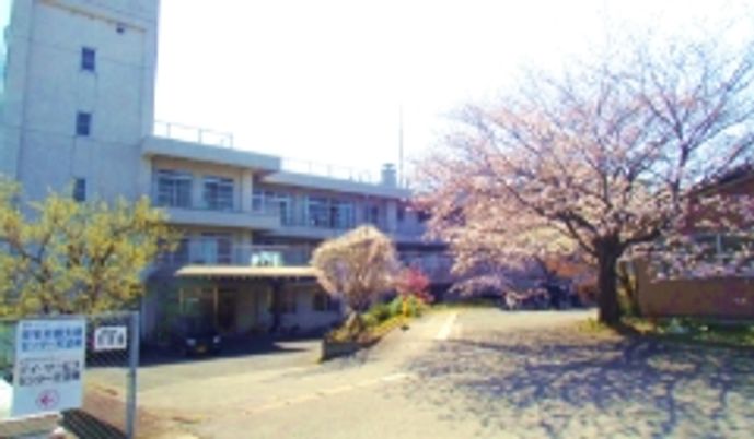 桜が咲くエントランス前