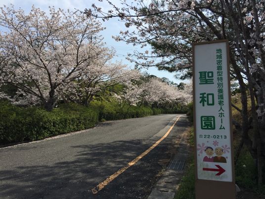 桜並木の施設入口  