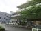 新清苑通所リハビリテーション 理学療法士（日勤専従）（正社員）