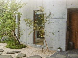中庭の植栽と飛び石中庭  
