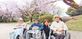 桜の下での散歩