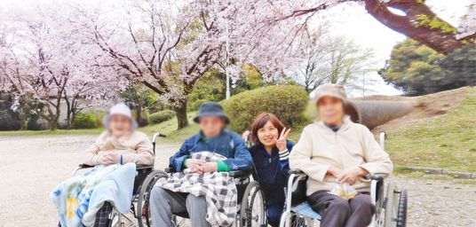 桜の下での散歩