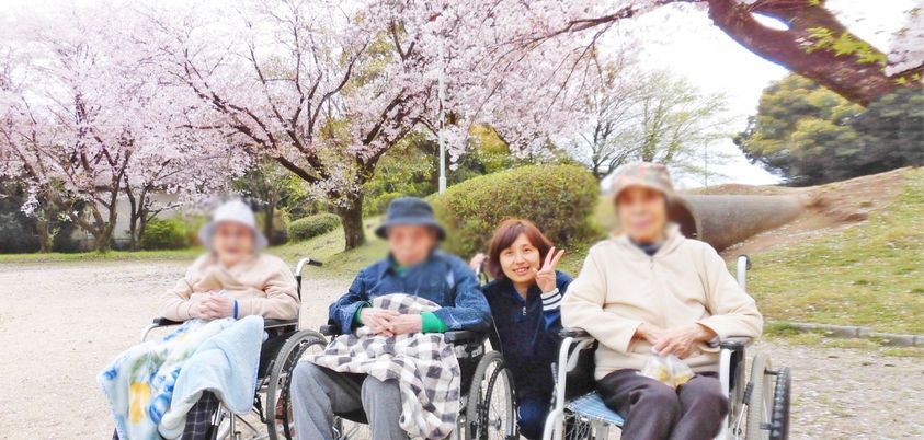 桜の下での散歩