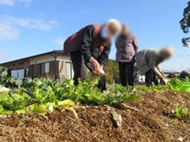 菜園の作業 庭 青空の下で利用者が菜園で作業しています。庭いじりに興味がある方には魅力的な環境です。