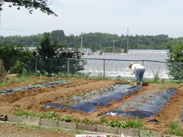 共同菜園 庭 自然に囲まれた共同菜園は、リラックスしながら作業できるスペースになっています。
