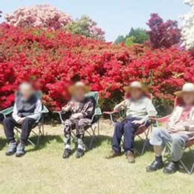 リラックスする庭