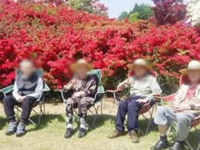 リラックスする庭 庭 豊かな自然の中で、和やかにくつろげる庭のスペースが広がっています。
