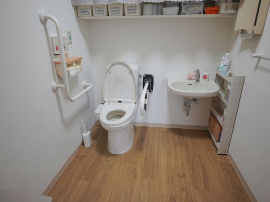 手すり付き清潔なトイレ