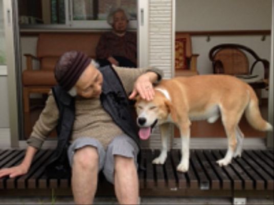 犬と触れ合う利用者様