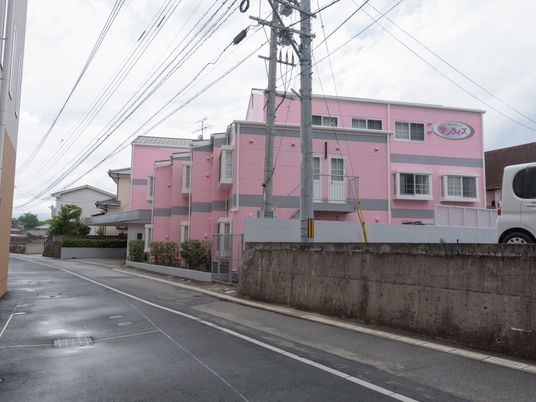 ピンクの外壁が印象的な建物