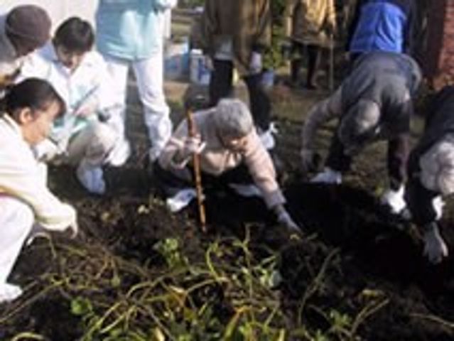 中庭での園芸活動