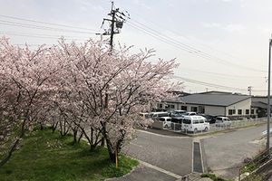 桜並木のある外観