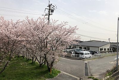 桜並木のある外観