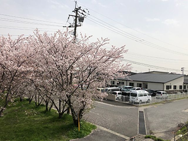 桜並木のある外観 外観 四季を感じる環境で、ご利用者様と共に笑顔を分かち合える仕事に就きませんか。