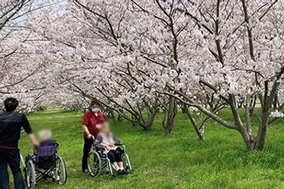 桜並木の庭