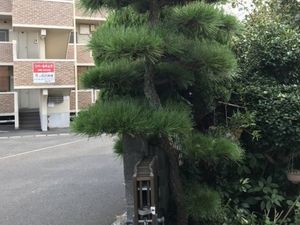 施設前の木と建物外観  