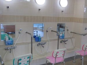 洗い場と椅子が並ぶ浴室  